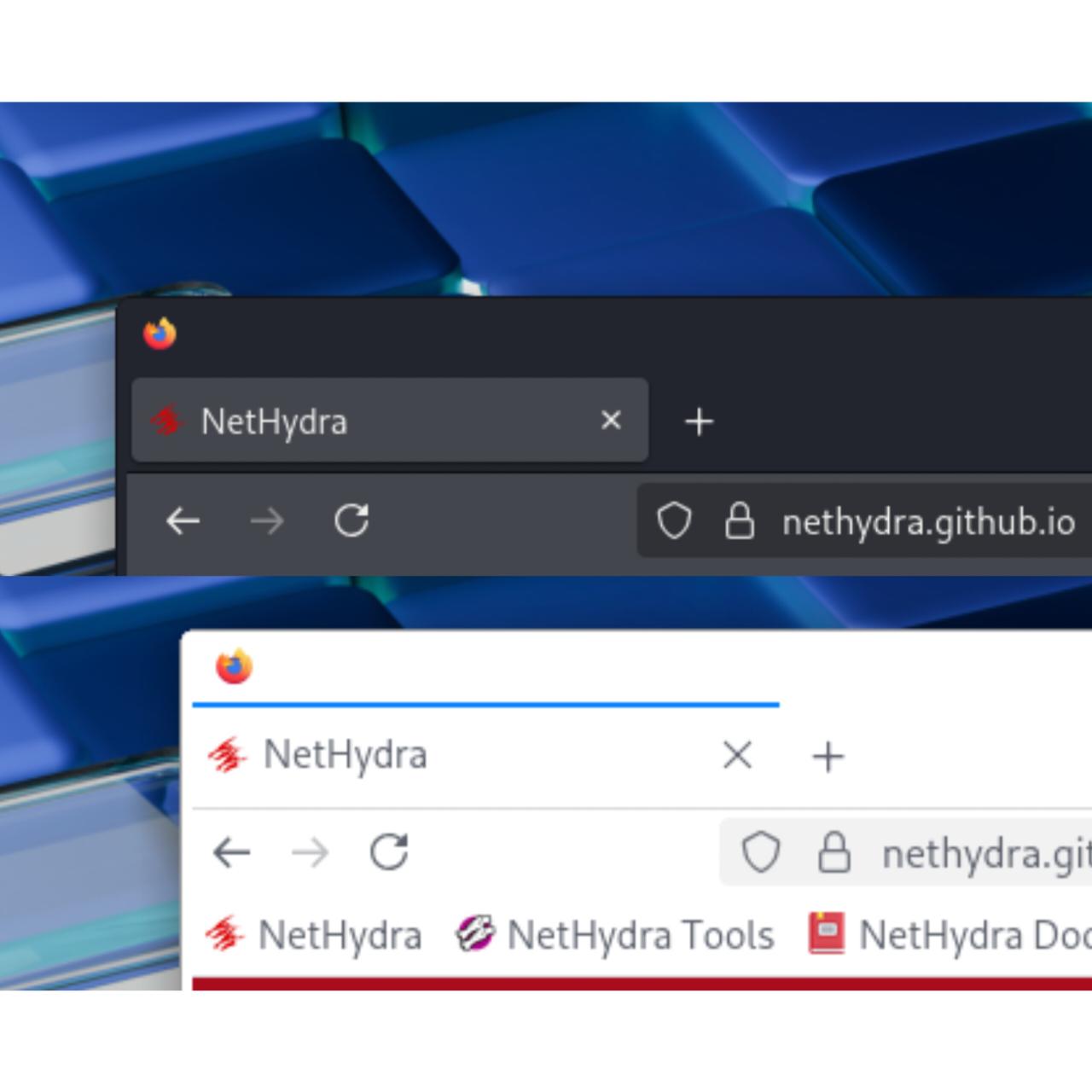 NetHydra classic firefox theme style